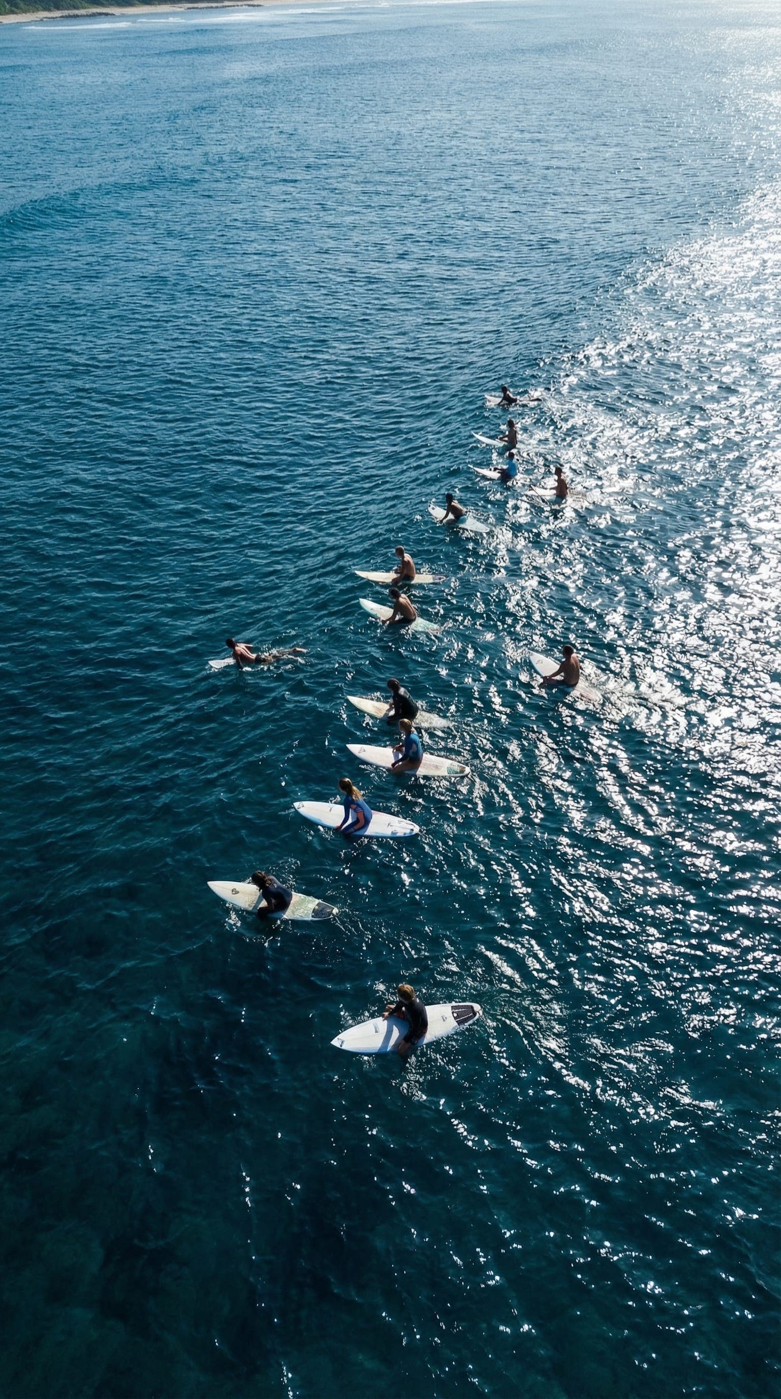 Surfing — LEVL Studio